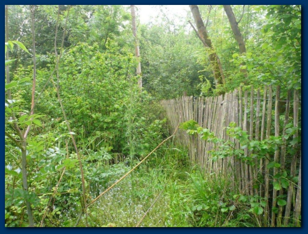 624x474 pixels (180K)